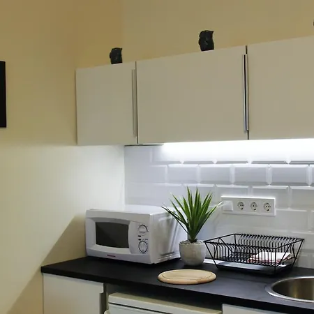 Apartament Concept *